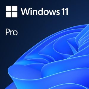 Windows 11 Pro OEM